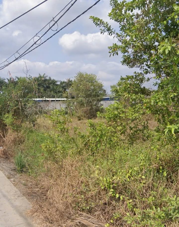 Đất nền Trà Vinh 100m² giá 180 triệu - Xây dựng tự do, vị trí đẹp!