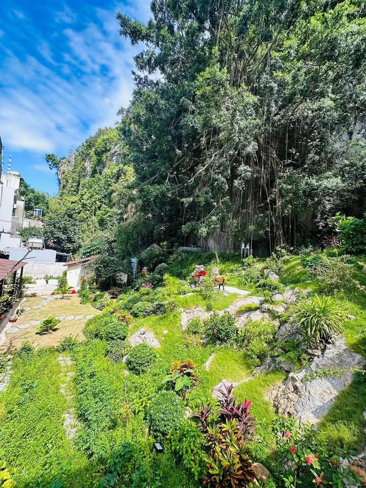 Nhà mặt đường Nguyễn Văn Cừ, Hạ Long 450m² giá 10 tỷ - Full nội thất sang trọng!