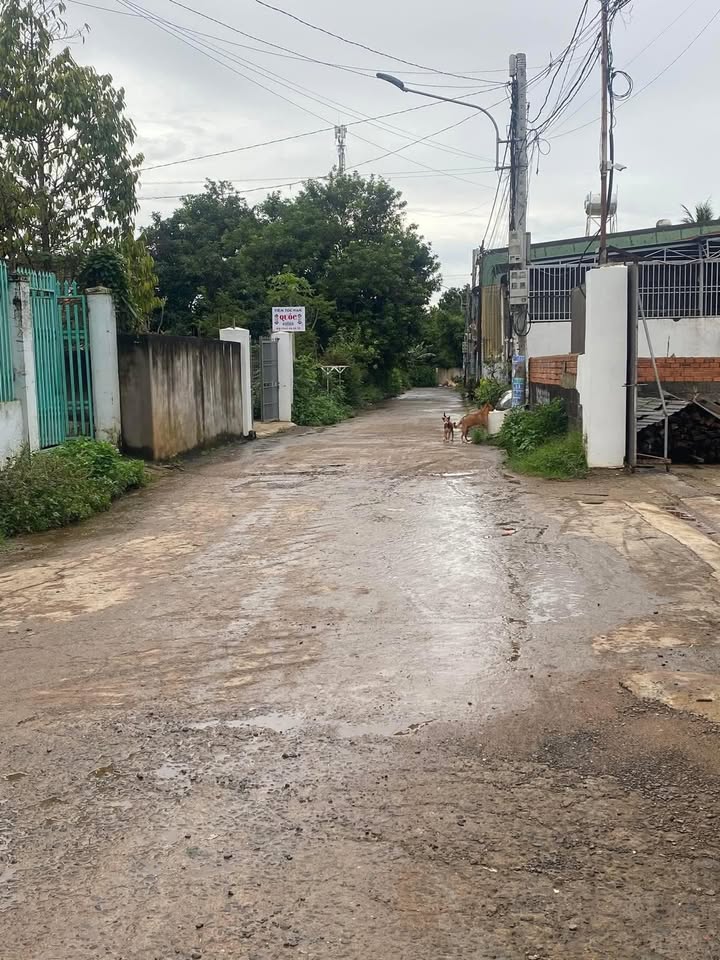 Đất mặt tiền đường B thôn 2 Cư Êbur 300m² giá 4 tỷ - Tiện ích đầy đủ chỉ 200m!