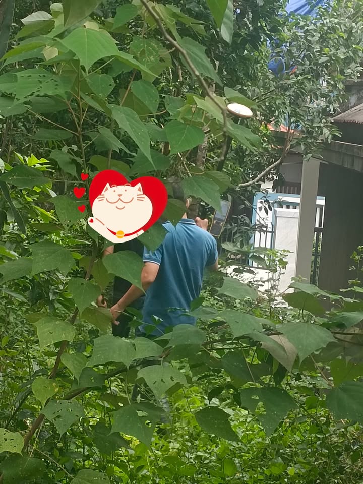 Lô đất kiệt Khải Định Thủy Xuân 104.4m² giá 1.5 tỷ - Cơ hội đầu tư tuyệt vời!