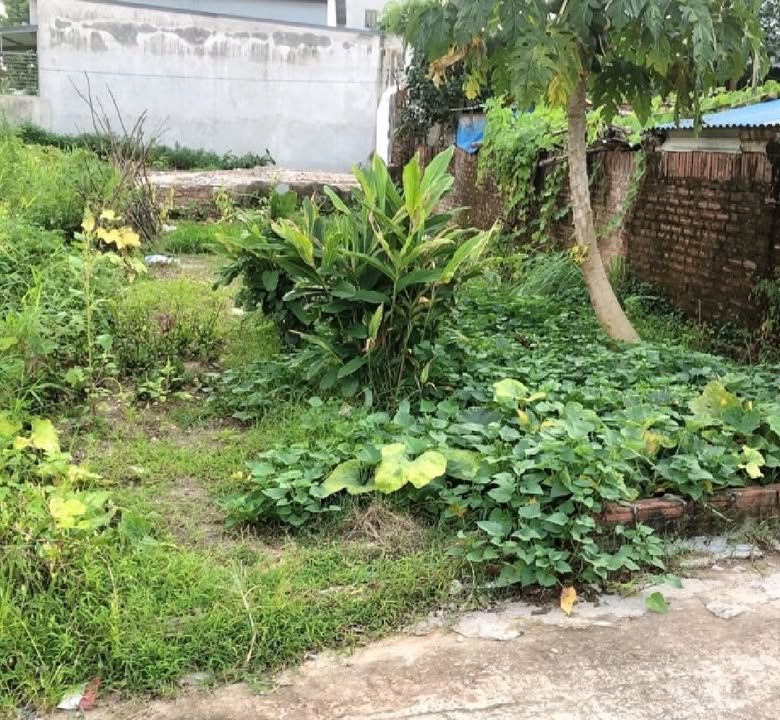 Đất nền Tiên Dược, Sóc Sơn 81m² - Giá đẹp, cơ hội đầu tư tốt!