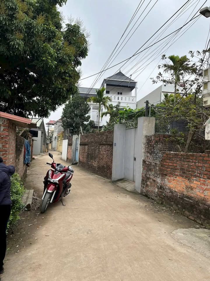 Đất nền Ngọc Tảo 76m² giá 2 tỷ - Đầu tư lý tưởng khu vực Phúc Thọ!