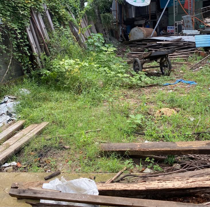 Lô đất 100m² Cách Mạng Tháng 8, Cẩm Lệ chỉ 2.8 tỷ - Đầu tư sinh lời ngay!