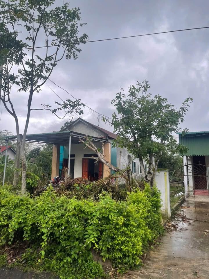 Đất tặng nhà đẹp tại Hương Long, Hương Khê - 300m², giá thỏa thuận!