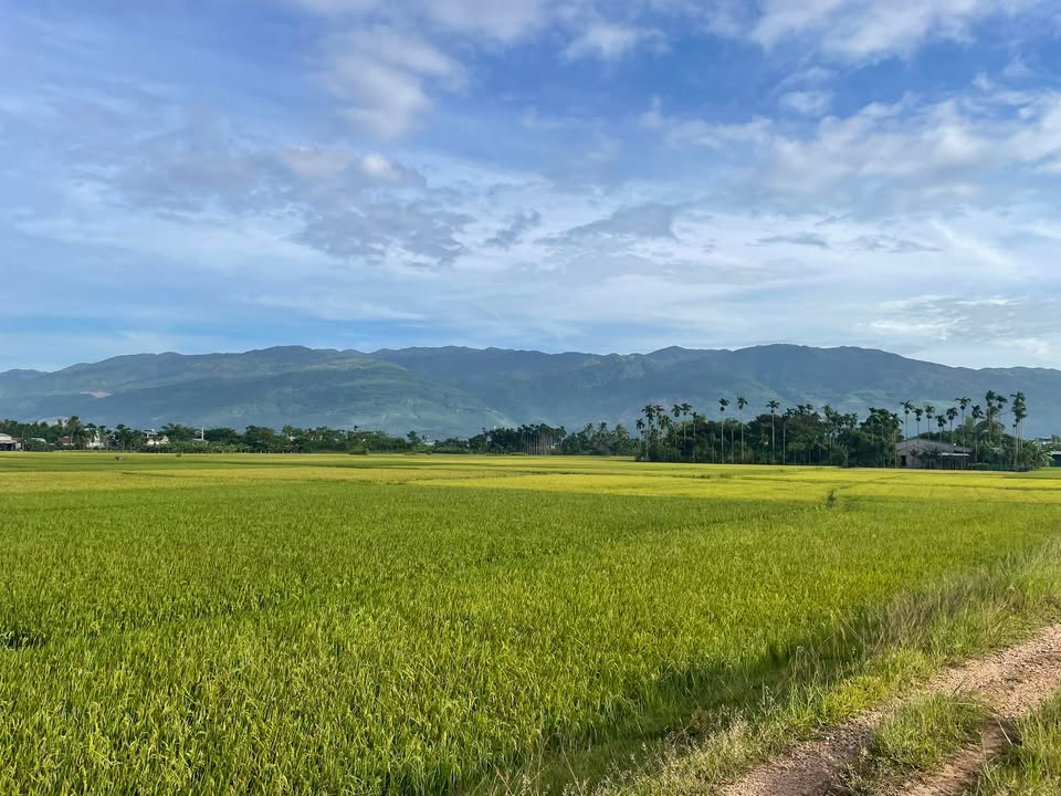 Đất đẹp 3 mặt tiền tại Hòa Phú, Đà Nẵng 352.9m² giá 3 tỷ - Cơ hội đầu tư hấp dẫn!