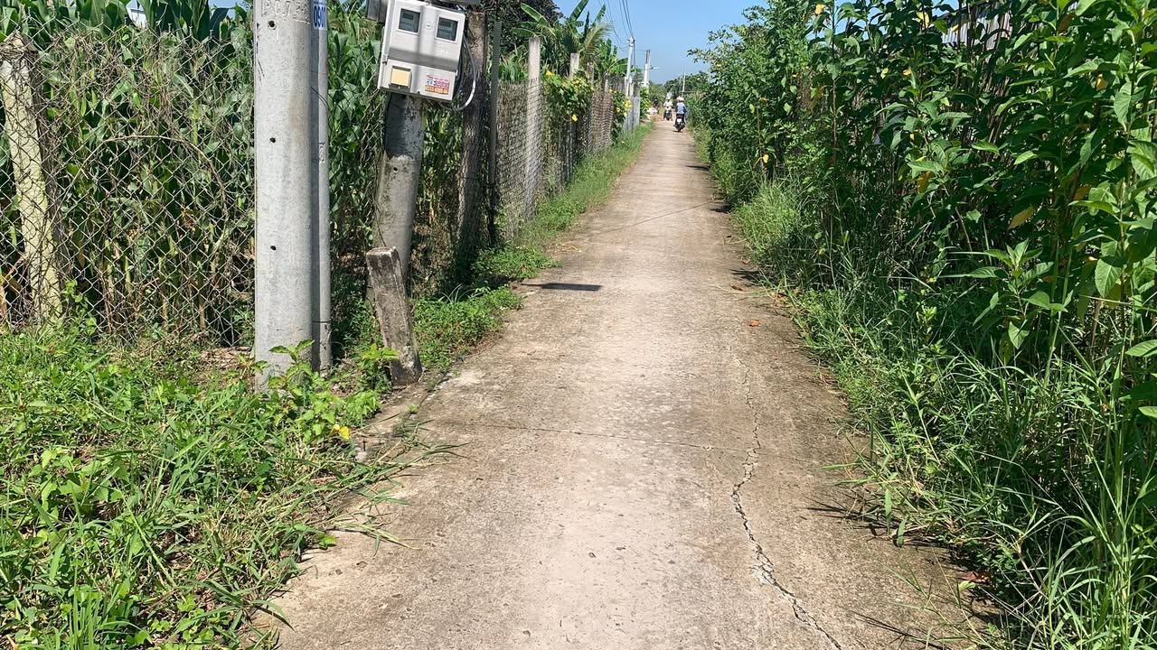 Đất nền Tân Hòa Gò Công Đông 216m² chỉ 550 triệu - Đầu tư sinh lời cao!