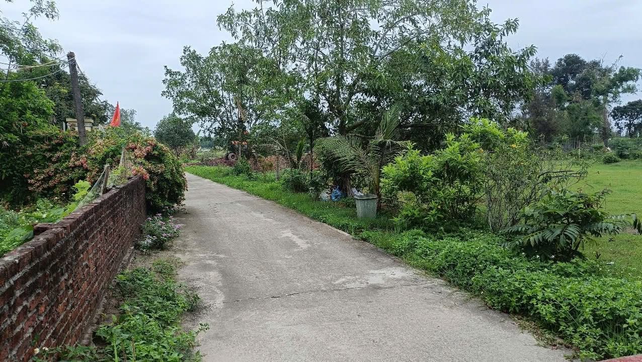 Đất nền 100m² ngõ 06 Trần Quang Khải - Giá chỉ 1 tỷ, gần trung tâm Móng Cái!