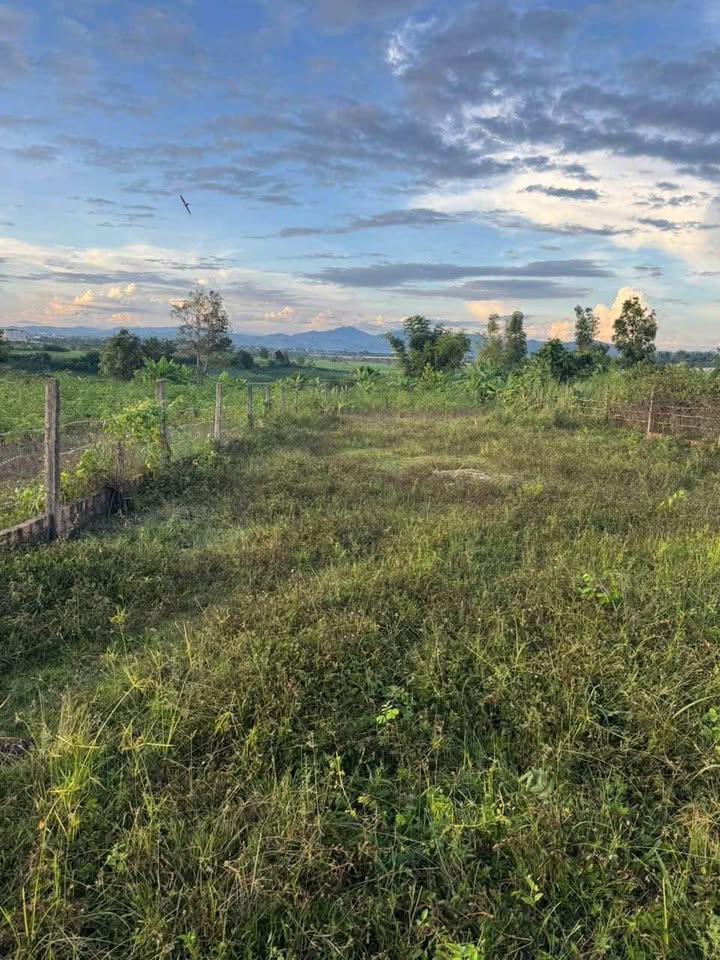 Đất nền đường Đặng Tiến Đông, Kon Tum 747m² - Không gian sống lý tưởng!