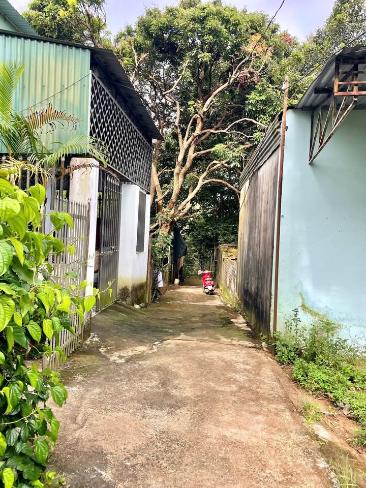 Đất thổ cư 100m² tại Phường Diên Hồng, Gia Lai chỉ từ 6xx triệu - Cơ hội vàng cho bạn!