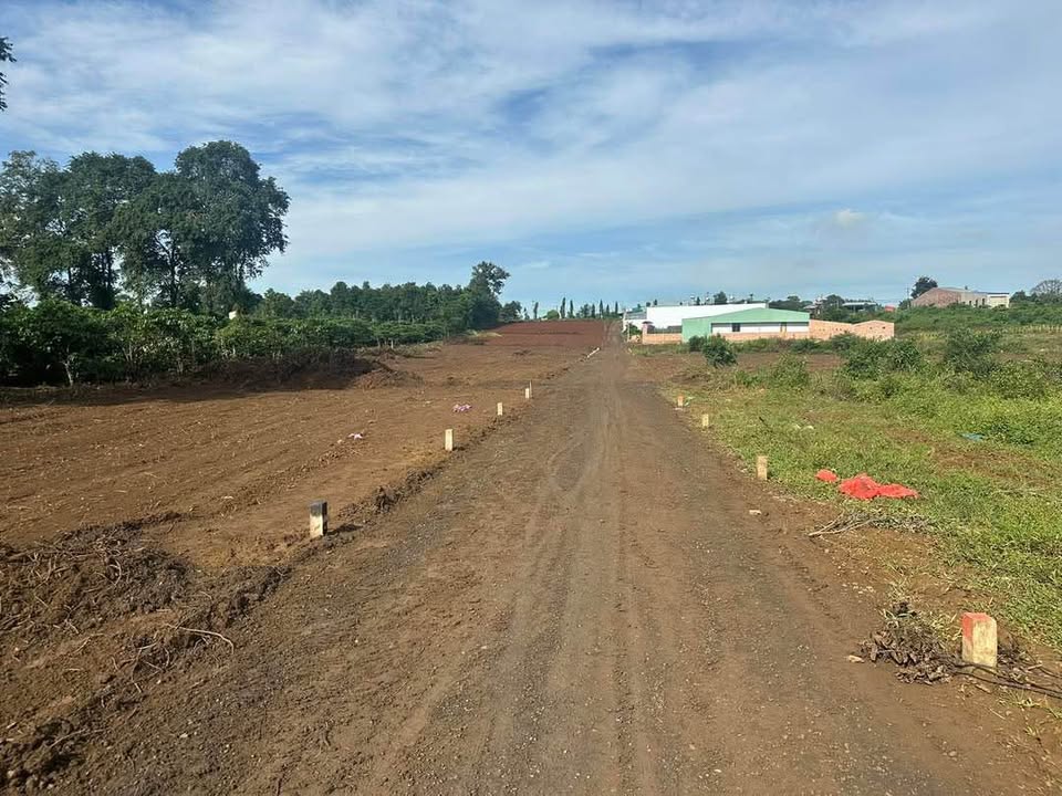 Đất nền Lý Chính Thắng, Pleiku 1000m² giá 900 triệu - Đầu tư sinh lời ngay!