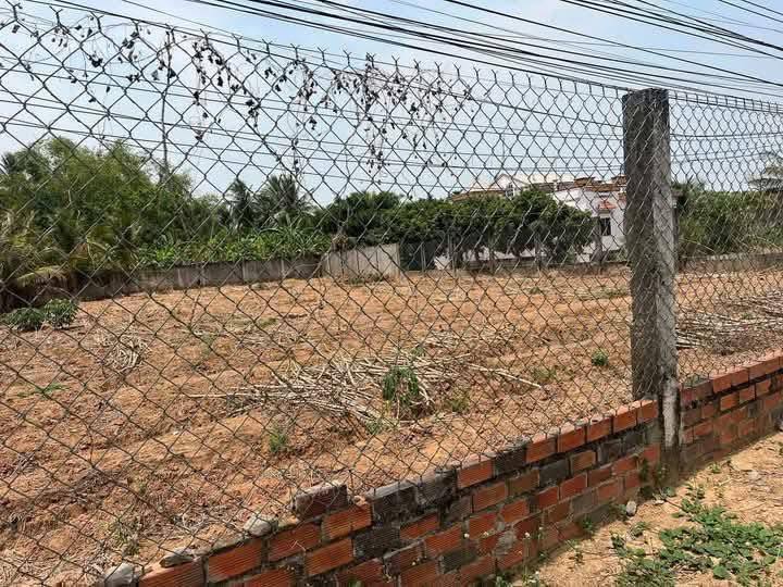 Đất mặt tiền lộ xã Lộc Thuận, huyện Bình Đại, diện tích 880m² - Cơ hội kinh doanh tuyệt vời!