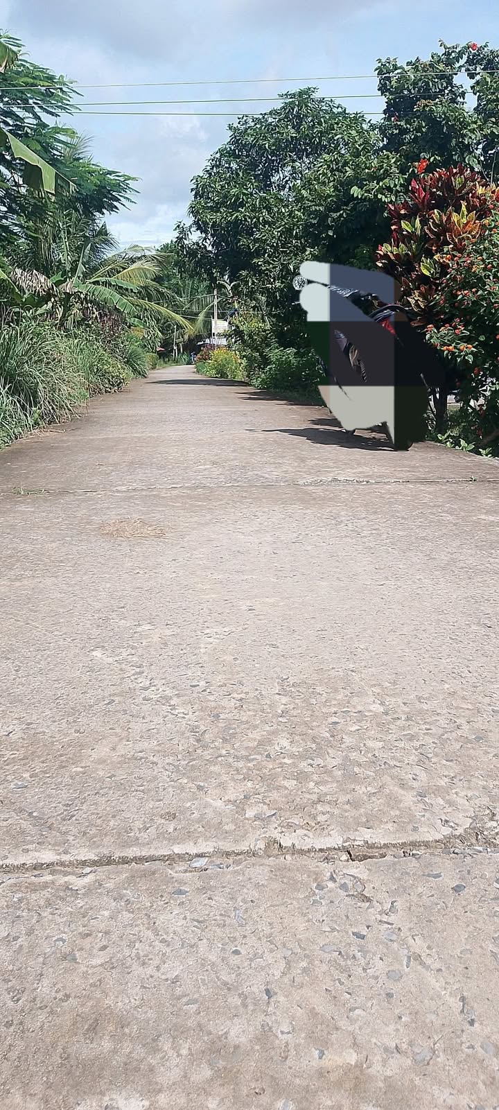 Đất nền mặt tiền lộ 3m ấp Bưng Chông, Sóc Trăng, 288m² - Giá chỉ 200 triệu