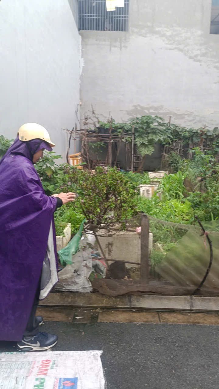 Đất nền Đa Tốn 52m² giá chỉ 4 tỷ - Cơ hội vàng đầu tư gần Vin Ocean Park!