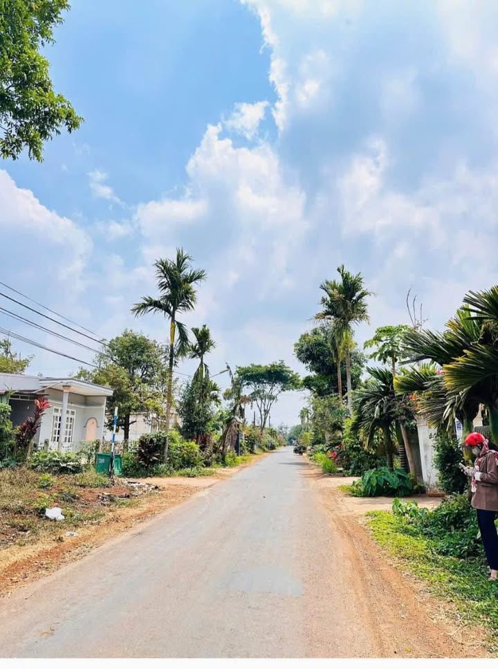 Đất mặt tiền Mậu Thân, xã Ea Tu, TP. Buôn Ma Thuột 100m² - Pháp lý rõ ràng, giá chỉ 1.25 tỷ!