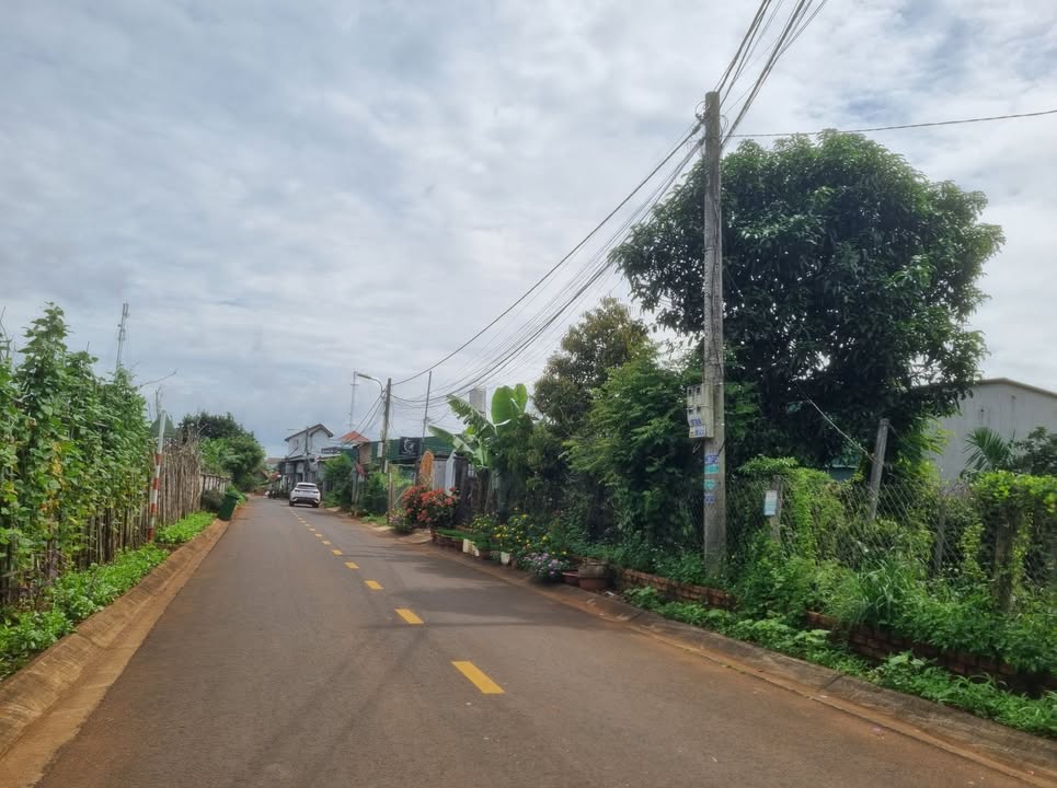 Đất thổ cư mặt đường Dã Tượng Tân An 100m² giá 2.75 tỷ - Cơ hội đầu tư tuyệt vời!