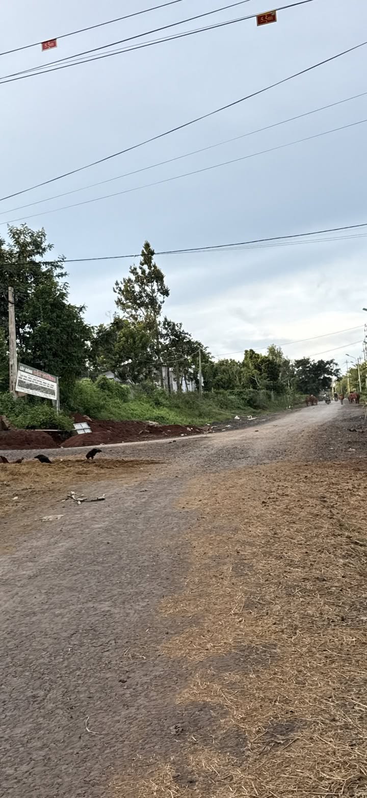 Đất thổ cư mặt tiền đường 19 tháng 5, Buôn Ma Thuột 8000m² giá 1.87 tỷ - Cơ hội đầu tư hiếm có!