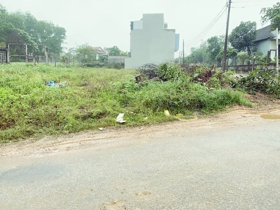 Bán gấp FrontHouse mặt tiền Nguyễn Viết Xuân 112.6m² chỉ 1.2 tỷ - Vị trí đẹp kinh doanh!