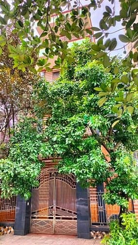 Nhà phố Sài Đồng, Long Biên 525m² giá 22.8 tỷ - Lô góc 4 mặt thoáng, ô tô đỗ ngày đêm!