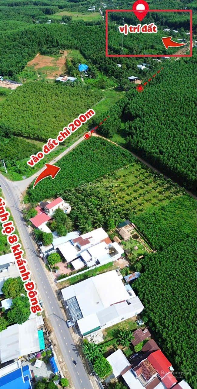 Đất nền Khánh Đông 380m² chỉ 420 triệu - Cơ hội đầu tư hấp dẫn!