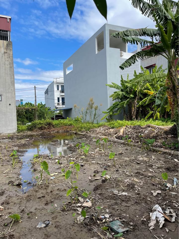 Chung cư tổ 6 An Dương 93m² giá thỏa thuận - Sổ đỏ chính chủ, vị trí đẹp!