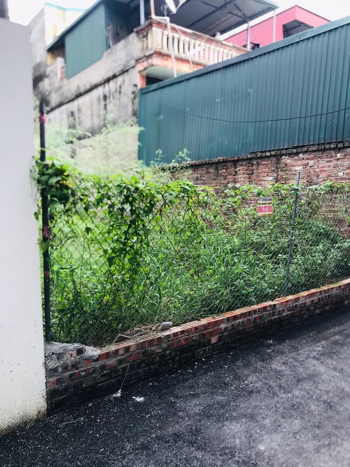 Đất nền Dục Tú Đông Anh 106m² - Sát đường dẫn cầu Tứ Liên, giá tốt đầu tư!