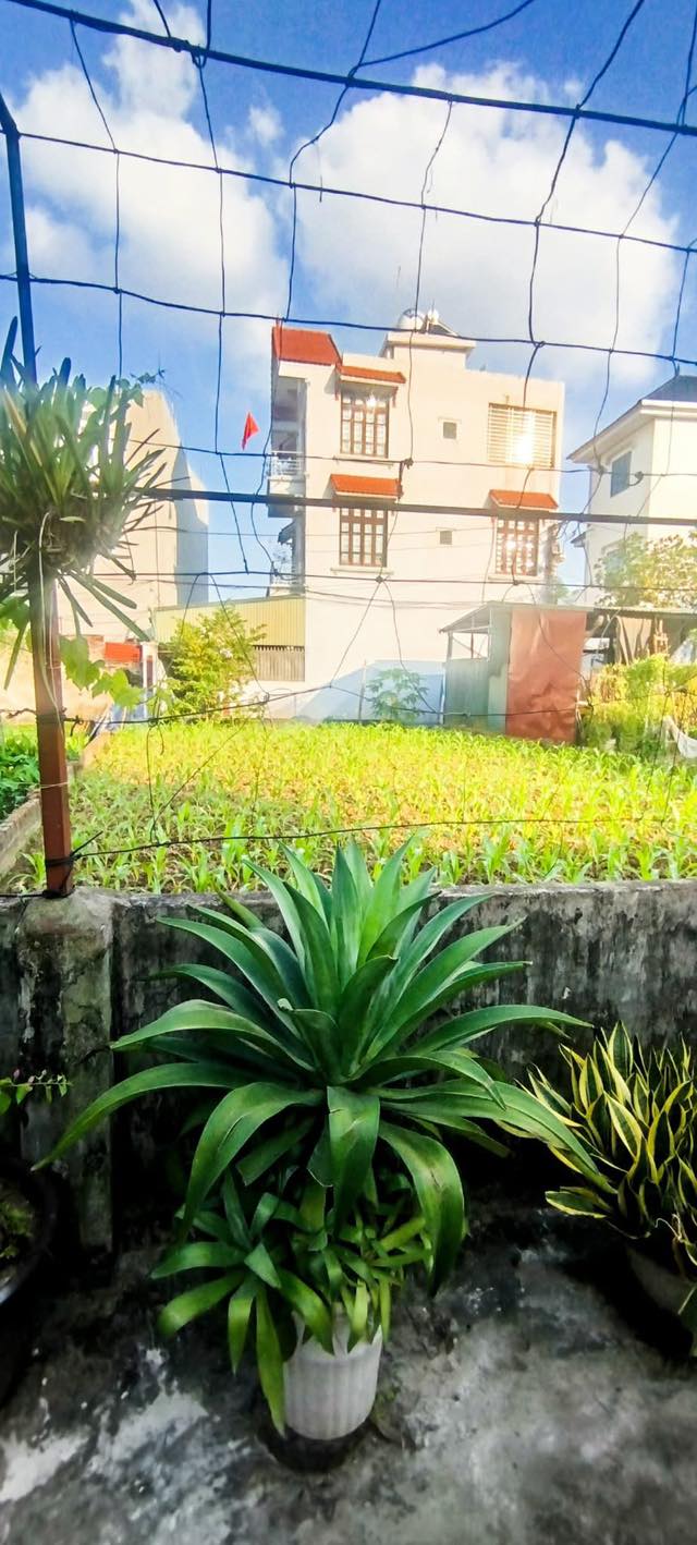 Đất nền Tả Thanh Oai 40m² giá 3 tỷ - Vị trí đẹp, dân trí cao!