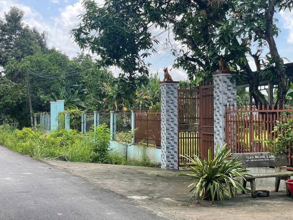 Đất mặt tiền nhựa Thông Hội, Củ Chi 3398m² giá 16.9 tỷ - Tiềm năng đầu tư sinh lời!