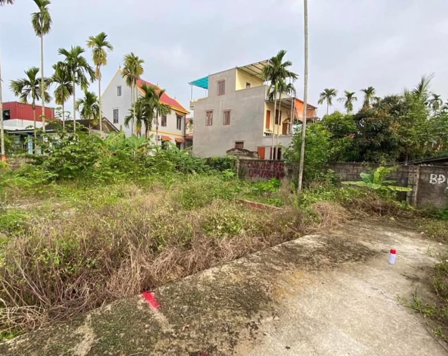 Đất nền thôn Hầu, phường Hoàng Lâm, 72m² giá 1 tỷ - Lô góc 2 mặt thoáng!