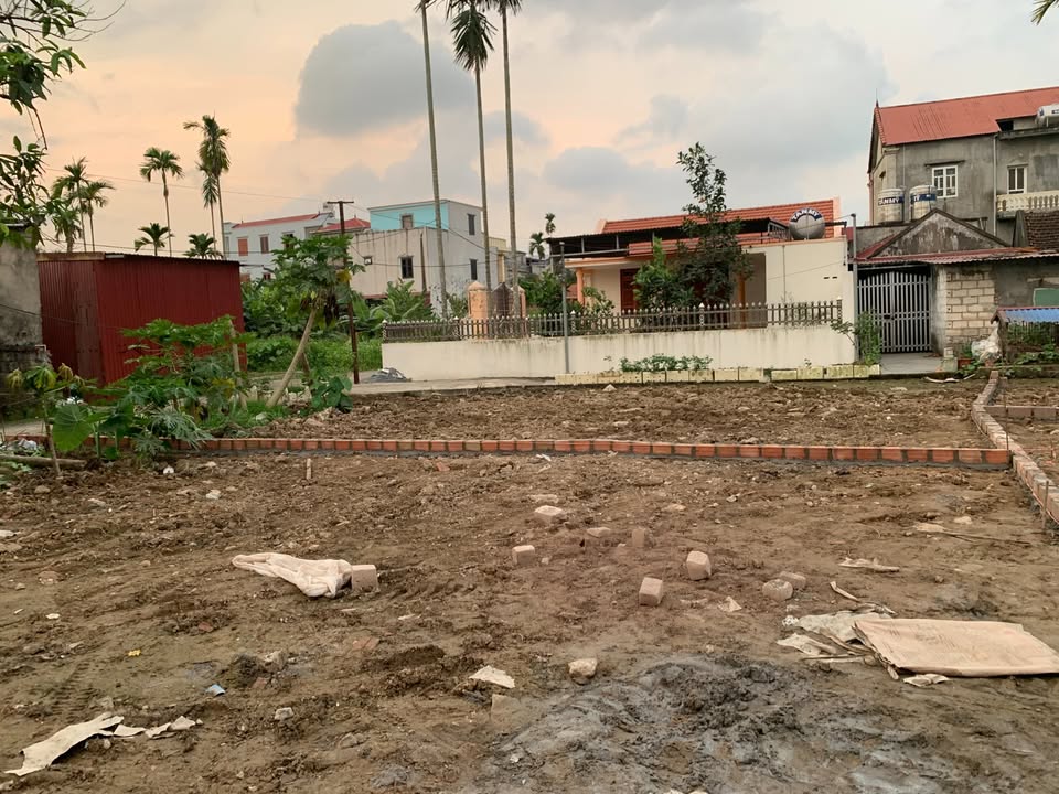 Đất nền chính chủ tại phường Hoa Động, Thủy Nguyên, 115m² - Đầu tư sinh lời cao!