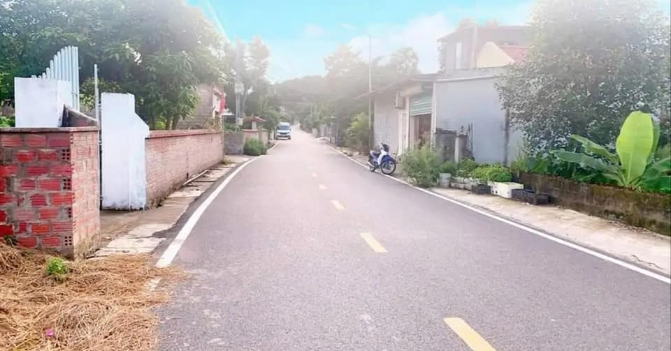 Đất Mặt Đường Quang Trung, Thủy Nguyên 80m² giá 1 tỷ - Đầu tư sinh lời tốt!