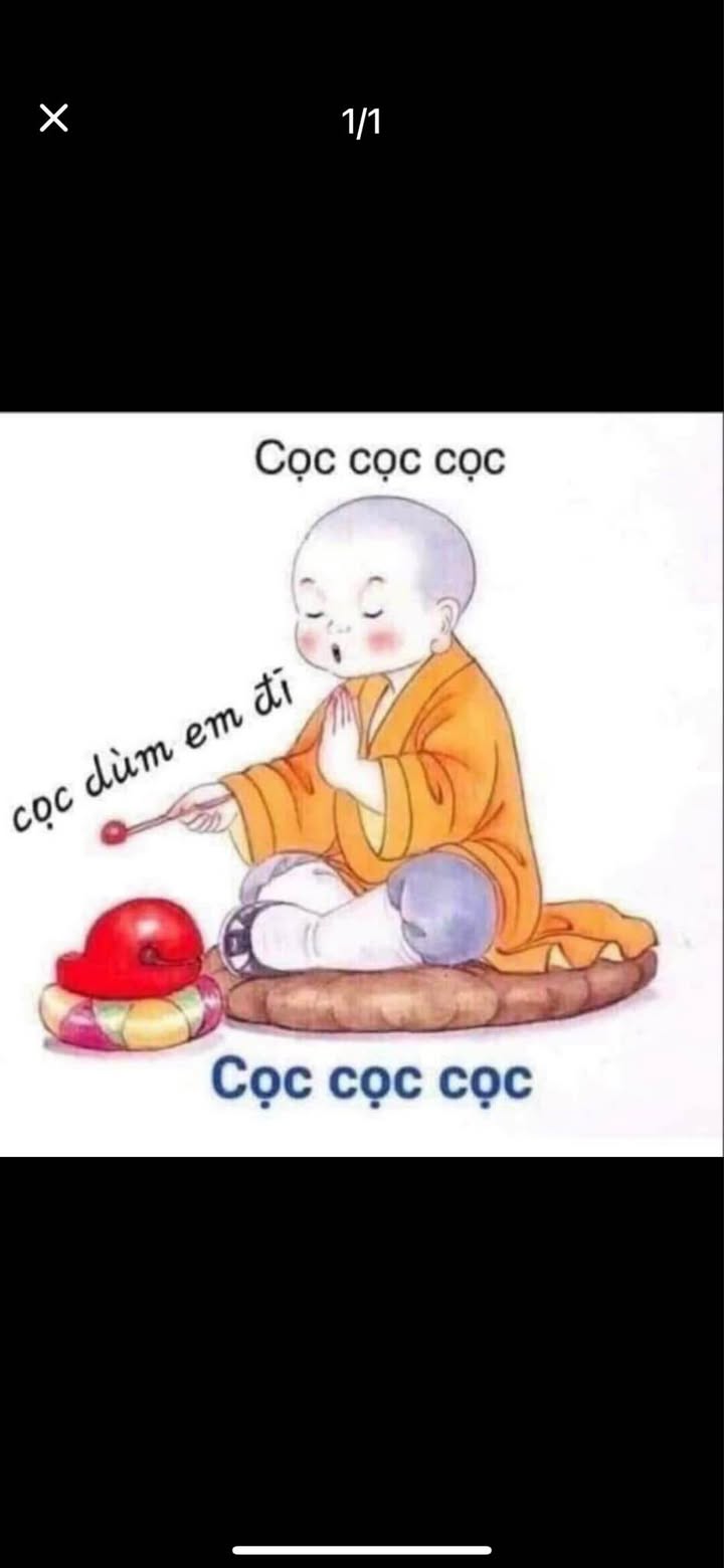 Bán lô góc FrontHouse đường Hồ Sen Lê Chân 85m² - Kinh doanh đắc địa!