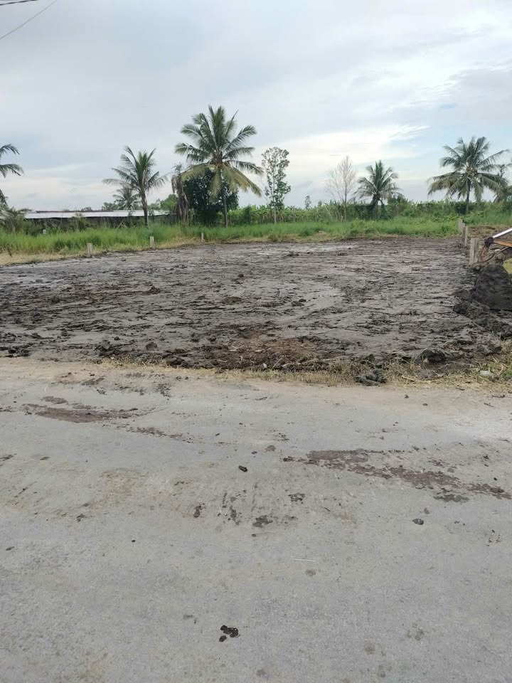 Đất thổ cư mặt tiền đường HL.15, xã Thạnh Trị, Giá chỉ 550 triệu - Cơ hội đầu tư tuyệt vời!