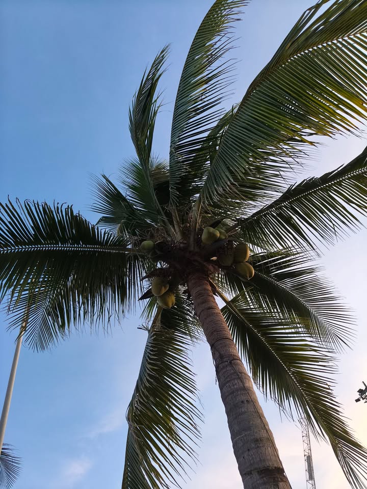 Đất mặt tiền Hà Kỳ Ngộ, Sơn Trà 90m² giá 9.5 tỷ - Cơ hội đầu tư hiếm có!