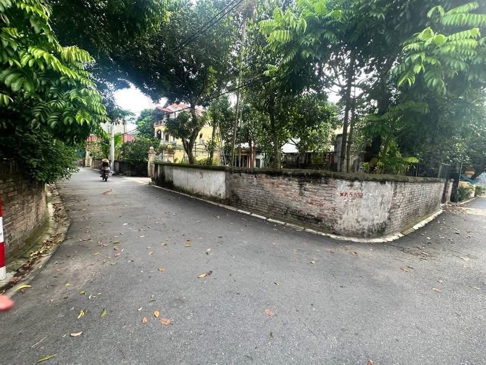 Đất lô góc Dương Quang Gia Lâm 209m² giá 8.6 tỷ - Đầu tư sinh lời ngay!