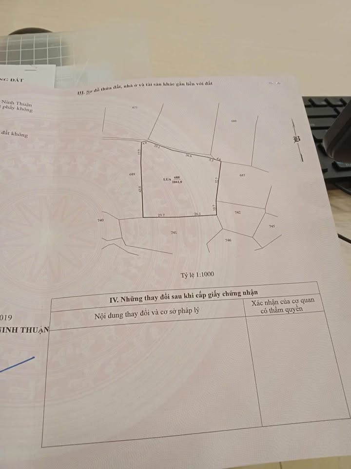 Đất lúa Ninh Phước, Khánh Hòa 5341m² giá 1.602 tỷ - Tiềm năng đầu tư lớn!