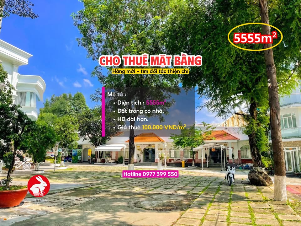 Cho thuê mặt bằng 5555m² tại Lái Thiêu, Bình Dương - Địa điểm kinh doanh lý tưởng!