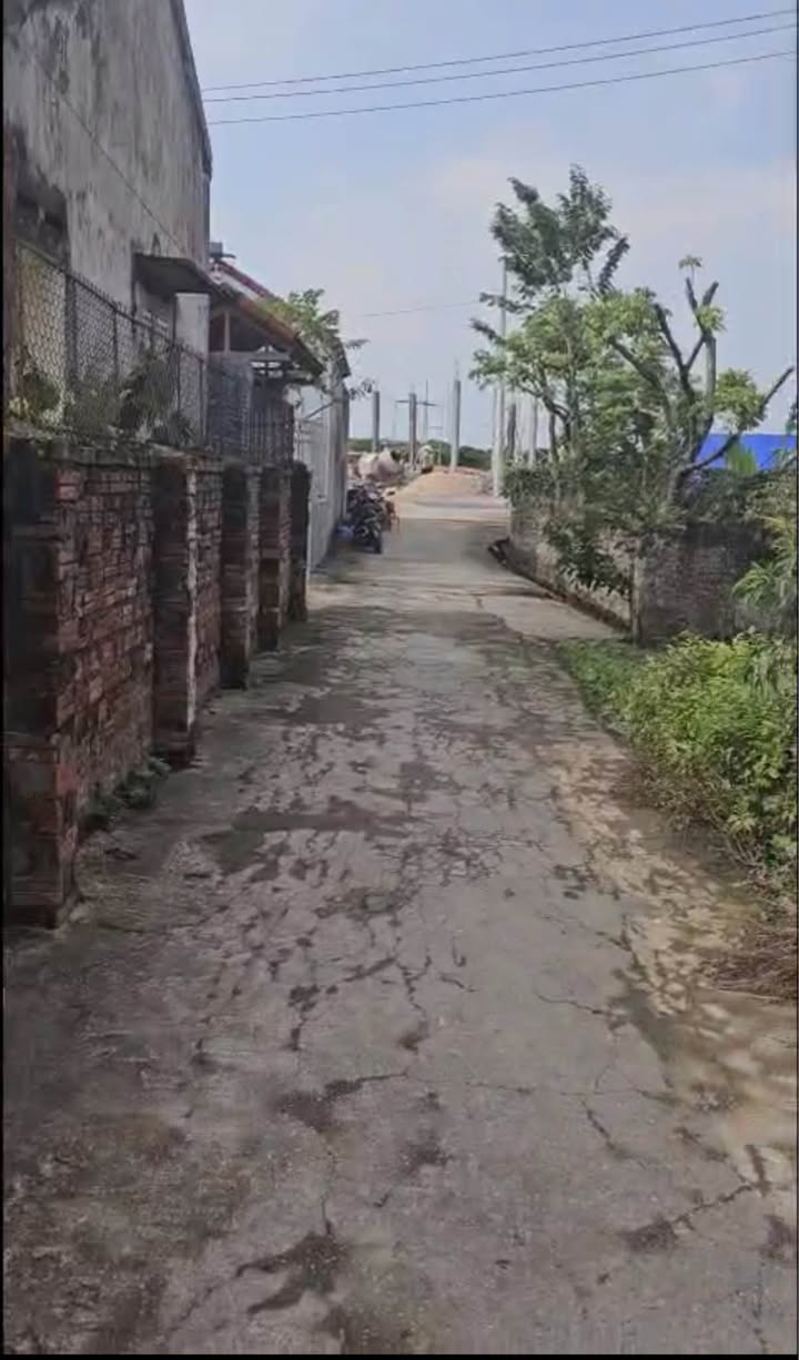 Đất nền Đào Dương, Ân Thi 240m² - Cơ hội đầu tư hấp dẫn!