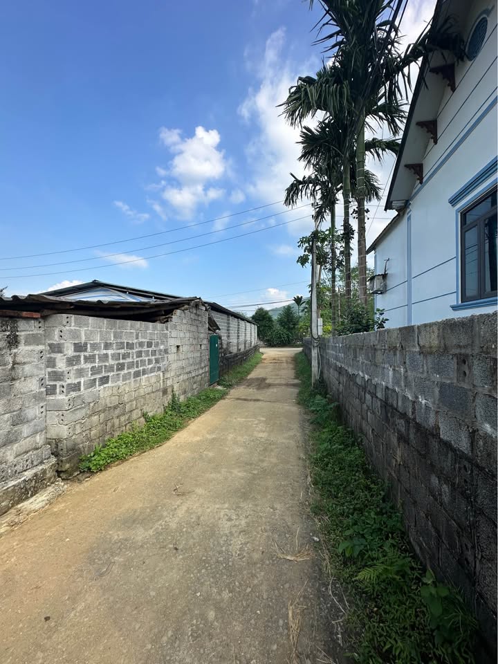 Đất nền Cư Yên Lương Sơn 1000m² giá 4 tỷ - Sổ đỏ chính chủ, tiềm năng đầu tư cao!