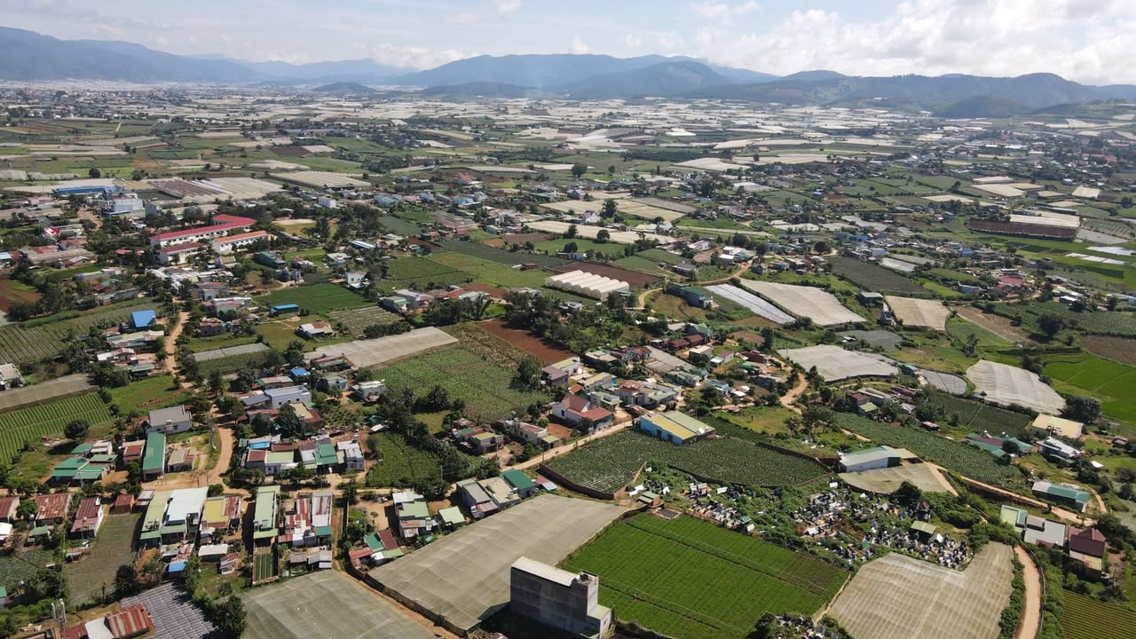 Đất nền Quảng Lập 303m² giá thỏa thuận - Không khí trong lành, view tuyệt đẹp!