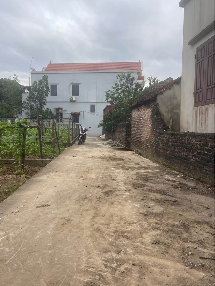 Đất nền Tự Nhiên Thường Tín 43.5m² giá chỉ 1.8 tỷ - Cơ hội đầu tư hấp dẫn!