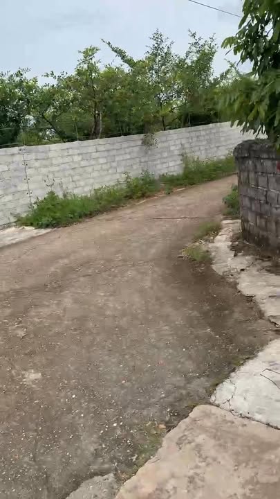 Bán vườn hăng bông Hồng Giang - Lục Ngạn 2500m² giá 2.75 tỷ - Tiềm năng sinh lời cao!