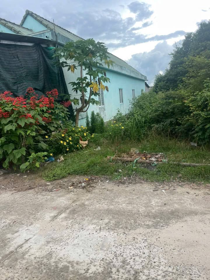 Đất nền 157m² tại Cửa Dương - Giá chỉ 650 triệu - Đầu tư lý tưởng!