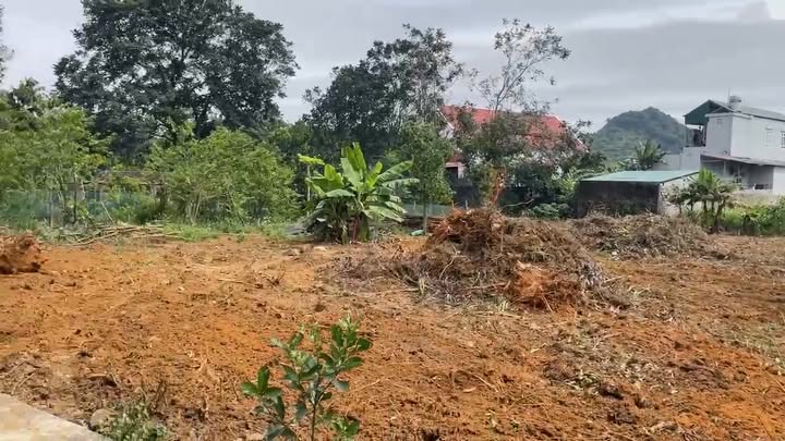 Lô đất đẹp tại Sơn Lai, Nho Quan, Ninh Bình - Tổng diện tích 1450m², thổ cư 50m² - Giá thỏa thuận!