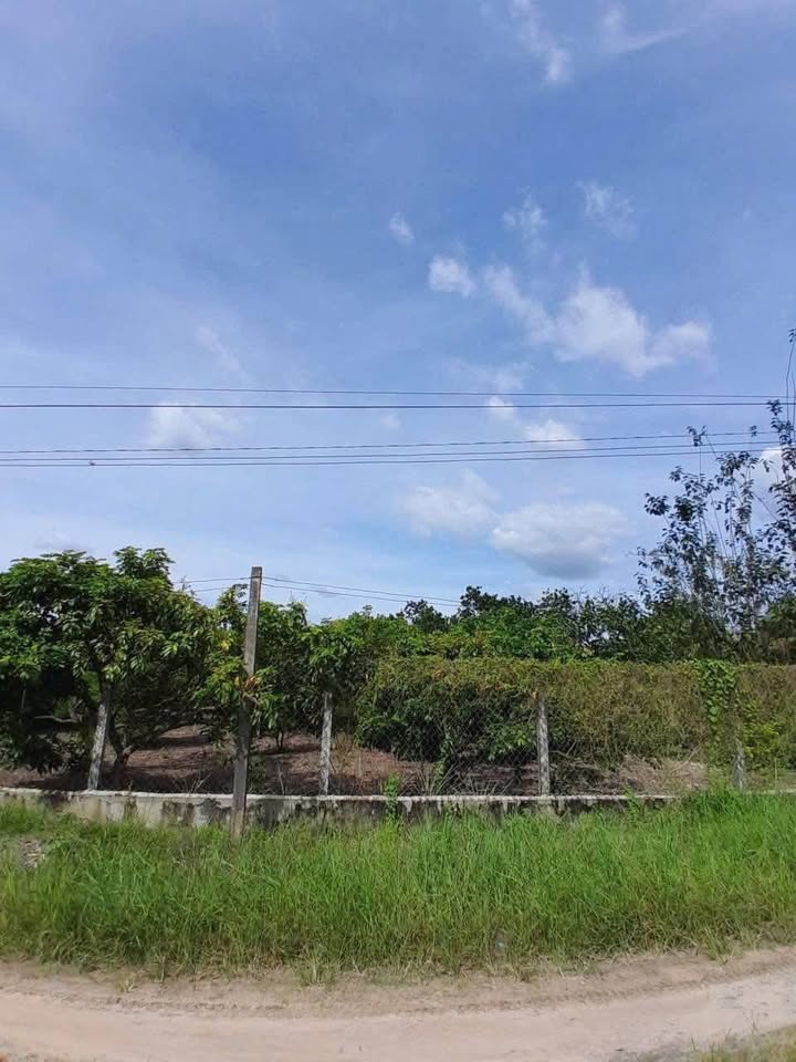 Đất Hẻm 9 Trường Đông, Long Hoa, Hòa Thành 225m² - Giá chỉ 500 triệu!