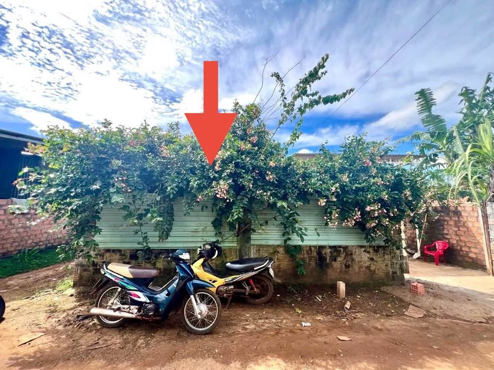 Đất hẻm Chính 555 Phạm Văn Đồng, Pleiku - 115m² giá chỉ 23 tỷ - Hướng Bắc, sổ đỏ chính chủ!