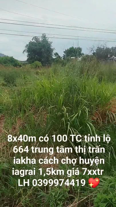 Đất nền đẹp tại đường tỉnh lộ 664, Ia Grai, Gia Lai - Giá chỉ 700 triệu