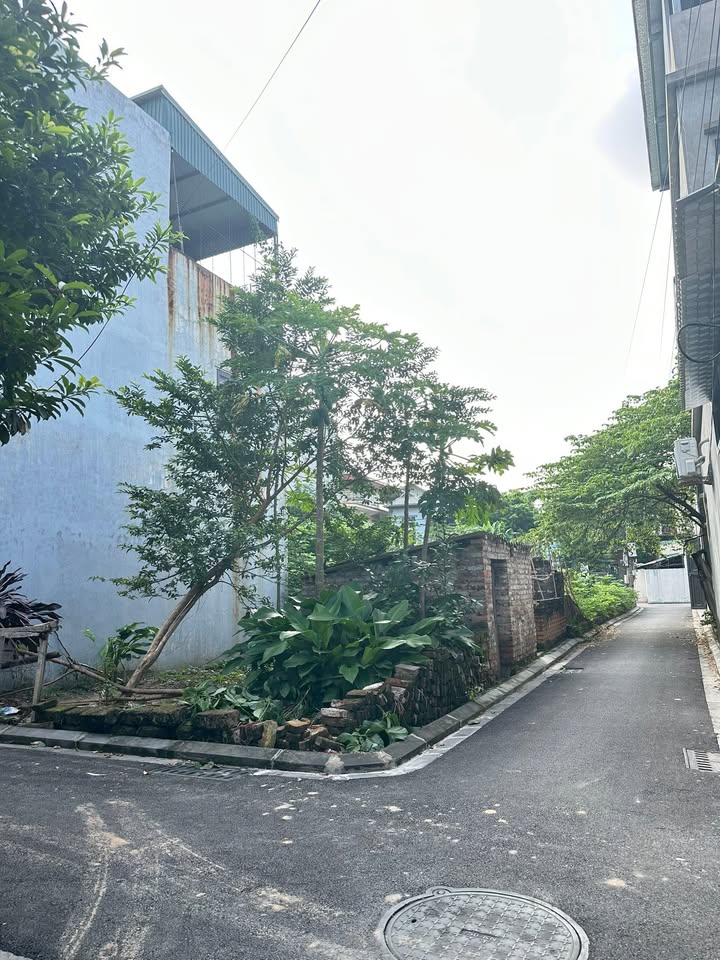 Đất thổ cư 2 mặt tiền Đại Mạch 45m² giá 4.05 tỷ - Ô tô vào tận nơi!