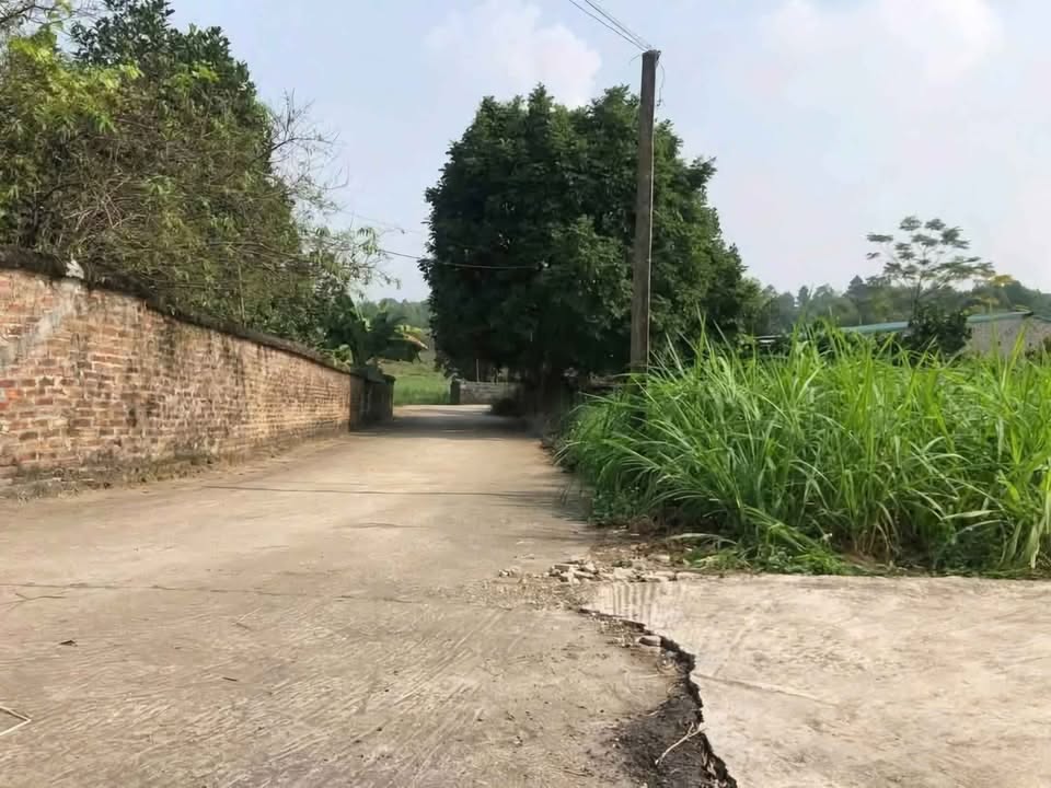 Lô đất 3 mặt tiền tại xã Suối Hai, Ba Vì, 1029m² giá 4 tỷ - Cơ hội đầu tư tuyệt vời!