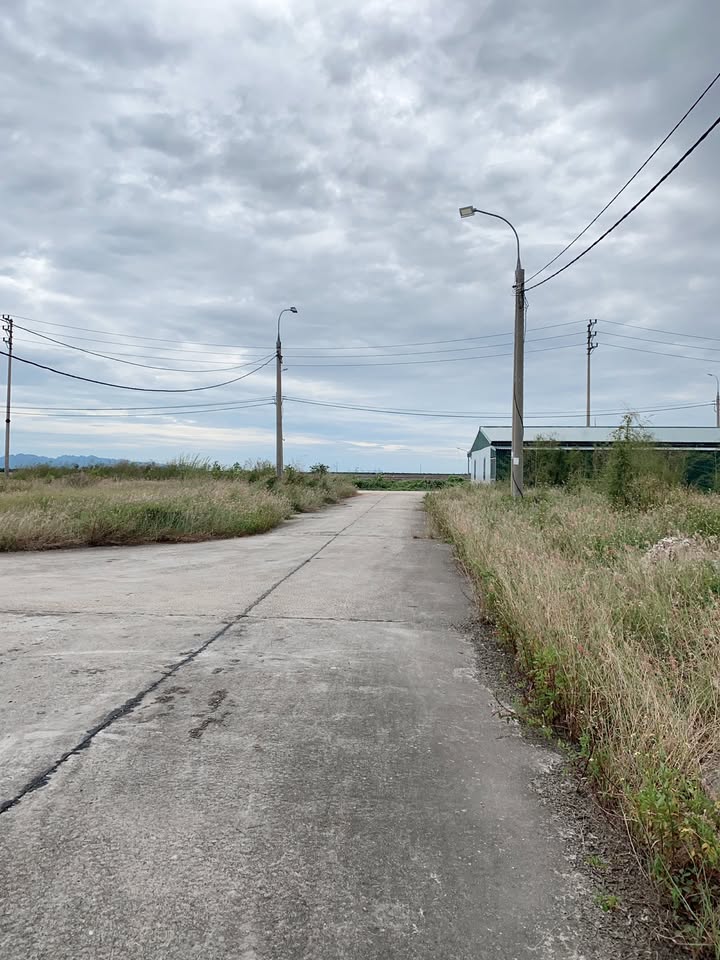 Đất nền Vinhome Hạ Long Xanh 330m² giá 5.115 tỷ - Mặt tiền 15m, đường ô tô tránh nhau!