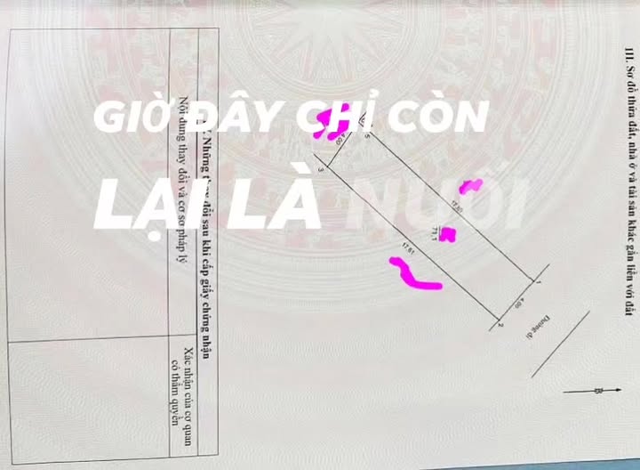 Đất Tứ Hiệp, Thanh Trì 72m² giá 15 tỷ - Tiềm năng kinh doanh vượt trội!